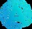 AIRIS Logo